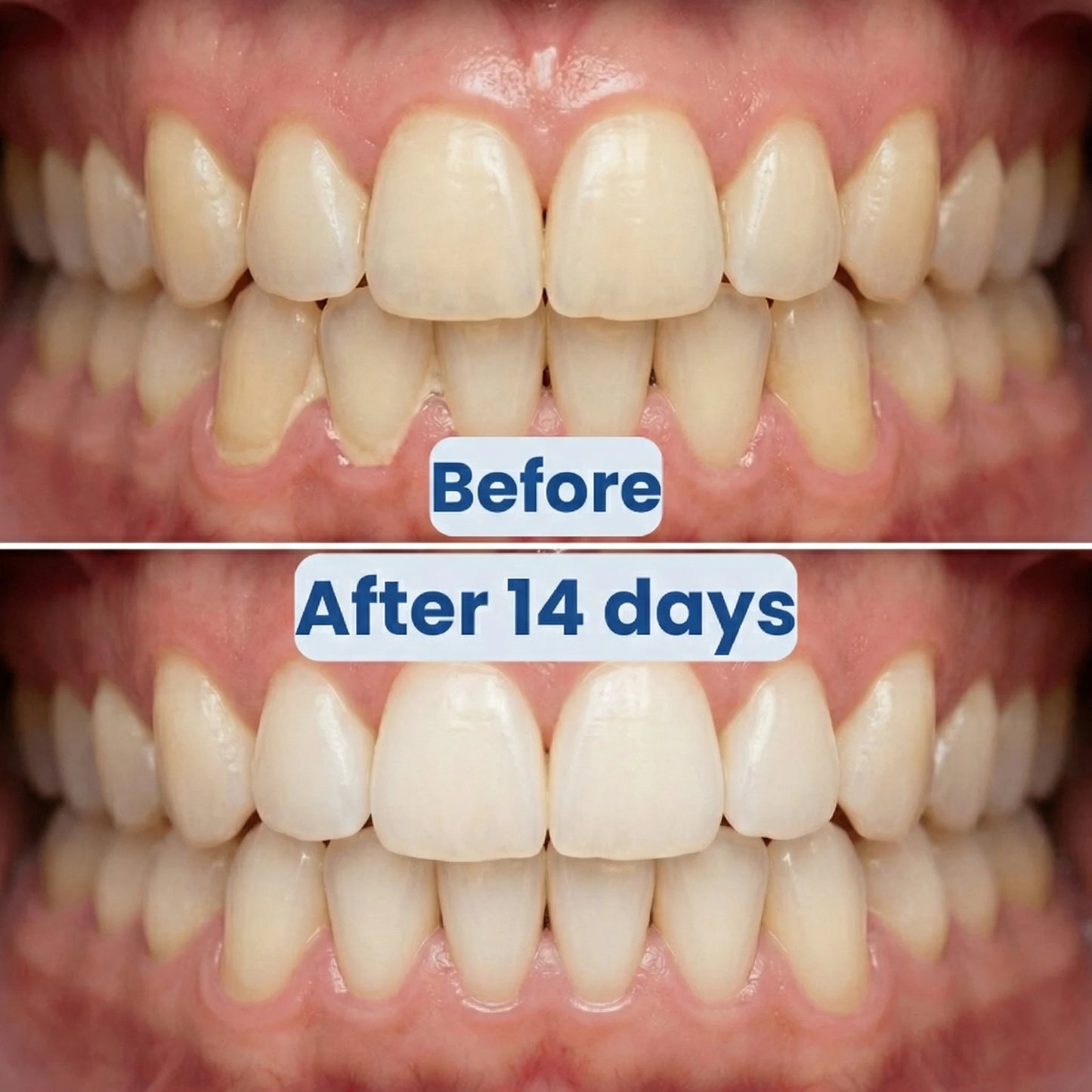 3 in 1 Rolling Floss Toothbrush