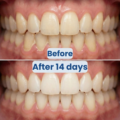 3 in 1 Rolling Floss Toothbrush